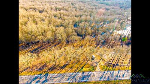 TBD Fm 195 Lot 19, Clarksville City, TX, 75412 | Card Image