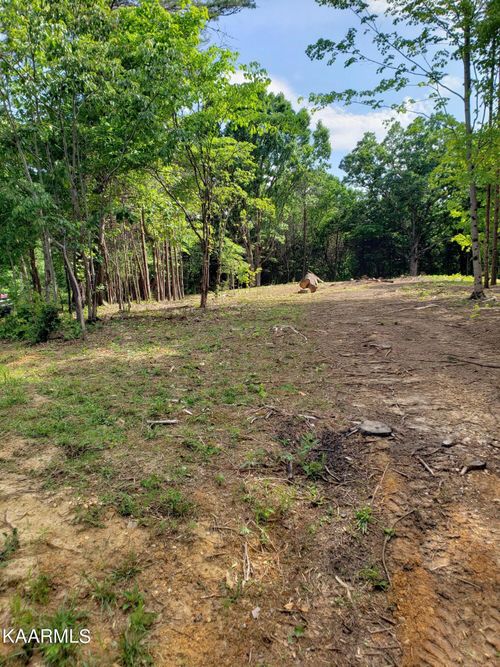 1014 Lightnen Rd, Parrottsville, TN, 37843-3146 | Card Image
