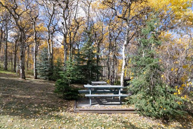 7132 Range Road 2 1 Range, House other with 3 bedrooms, 2 bathrooms and 6 parking in Lundbreck AB | Image 7
