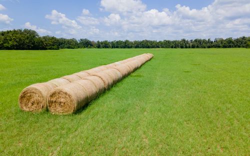 TBD 165th Rd, Live Oak, FL, 32060 | Card Image