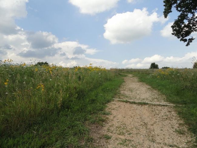 L111 Atlas Trail, Home with 0 bedrooms, 0 bathrooms and null parking in WAUNAKEE WI | Image 13