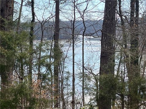 0 Rue Maurice, Lavonia, GA, 30553 | Card Image