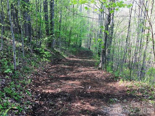99 Fern Hill Dr, Mars Hill, NC, 28754 | Card Image