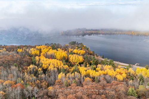 00 Highway 62 Highway, Madawaska Valley, ON, K0J2M0 | Card Image