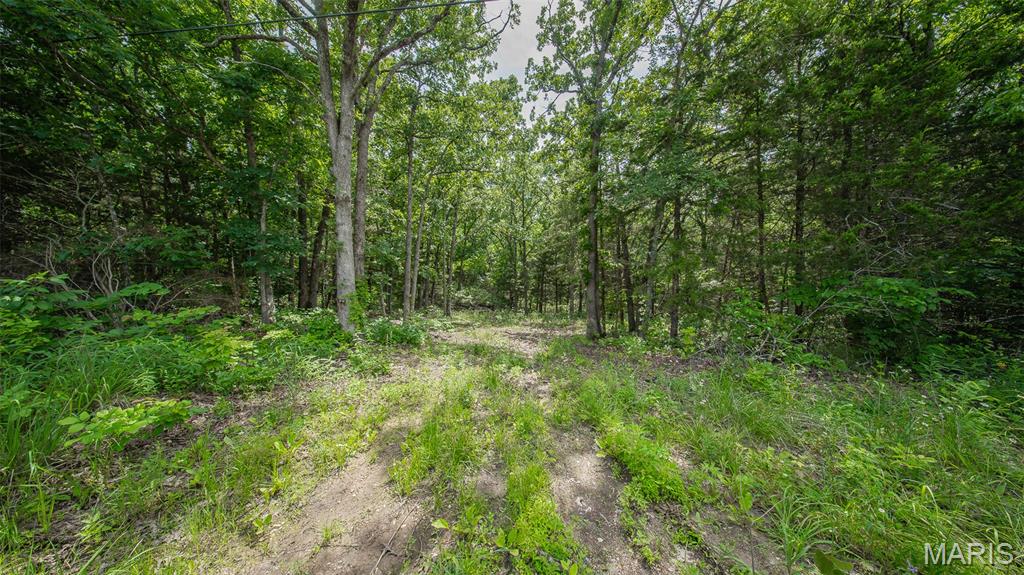 Land in Rolla 4