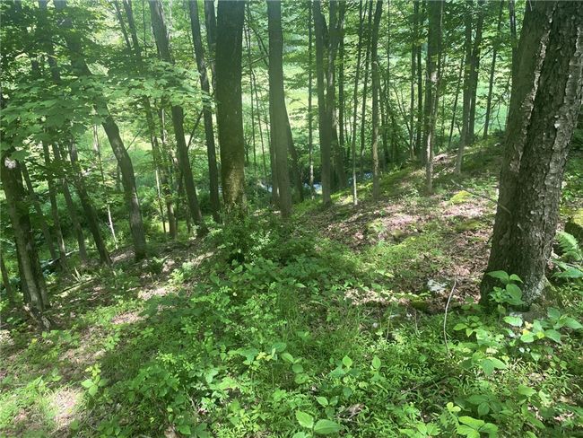 2 Reibold Rd, Home with 0 bedrooms, 0 bathrooms and null parking in Forward Twp - BUT PA | Image 4