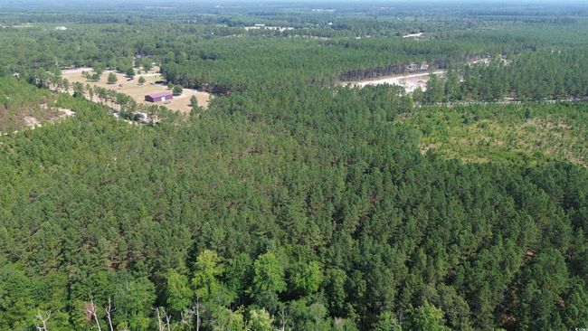 Aerial overview of property's location featuring a forest | Image 24