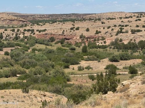 095-Lot 95 River Springs Ranch --, St Johns, AZ, 85936 | Card Image