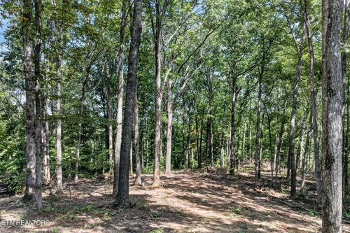 40 Pioneer Trail Ln, Crawford, TN, 38554 | Card Image