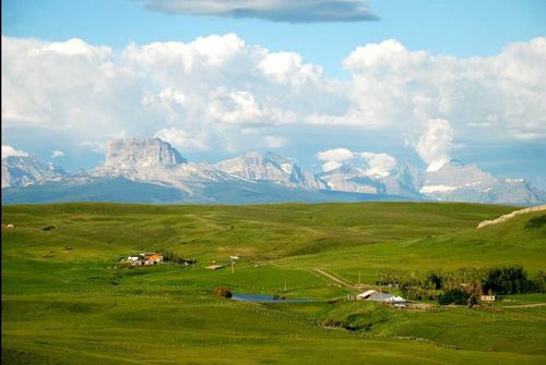 21054 A Range Road 264, Cardston County, AB, T0K0K0 | Card Image