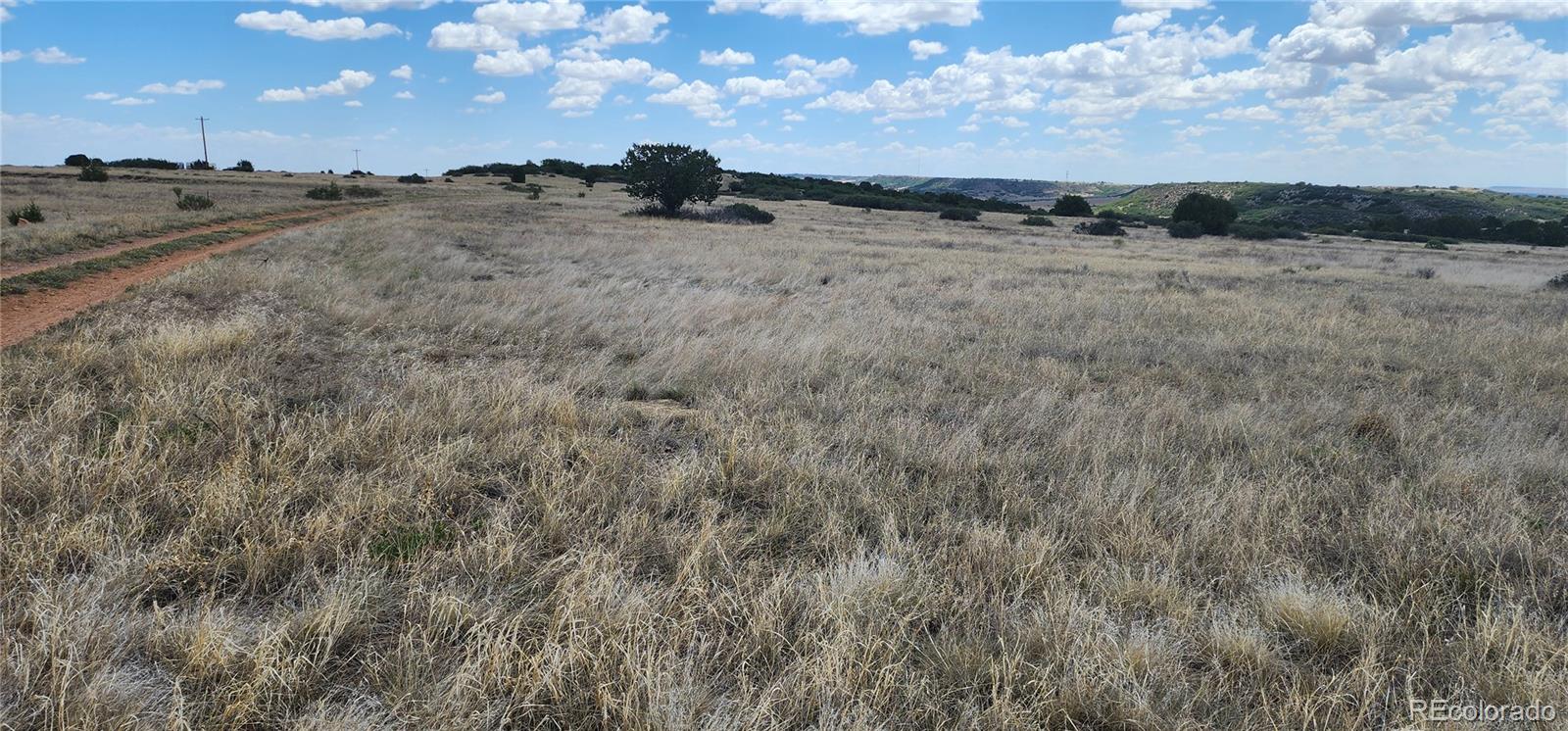 Land in Colorado City