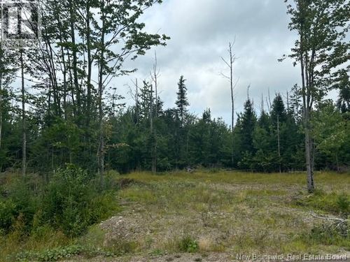 03 Robby St, Douglas, NB, E3G | Card Image