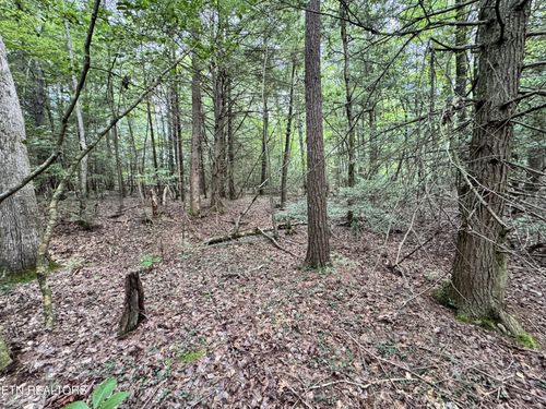 0 Banner Springs Rd, Jamestown, TN, 38556 | Card Image