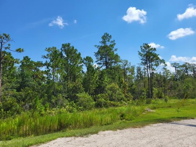 Land in ORLANDO 3