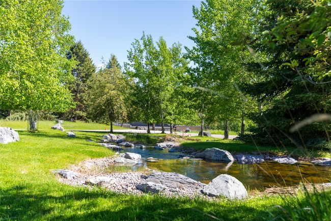 Nature abounds | Image 15