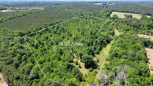 parcel-2-38.59 acres Leslie Mill Road, Greensboro, GA, 30642 | Card Image