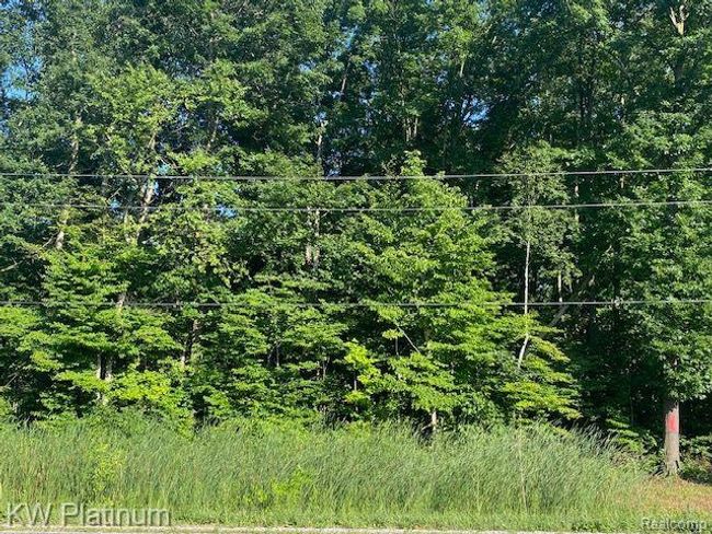 1 V/L Wadhams Road, Home with 0 bedrooms, 0 bathrooms and null parking in Kimball Township MI | Image 6