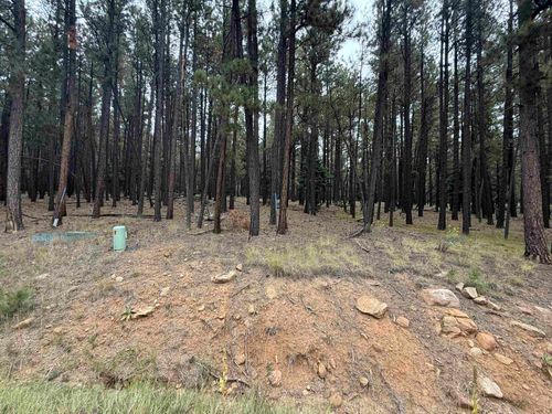 115 San Juan Dr, Angel Fire, NM, 87710 | Card Image