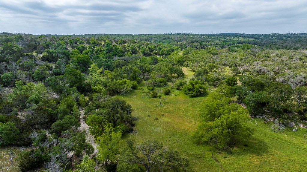 Farm in Kerrville 4