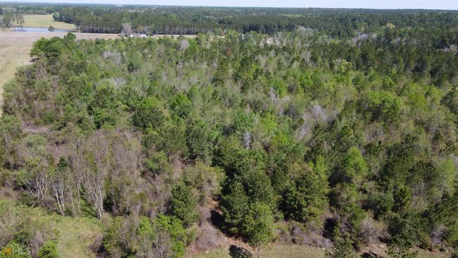 10519 Edenfield Rd, House other with 4 bedrooms, 2 bathrooms and null parking in Metter GA | Image 21
