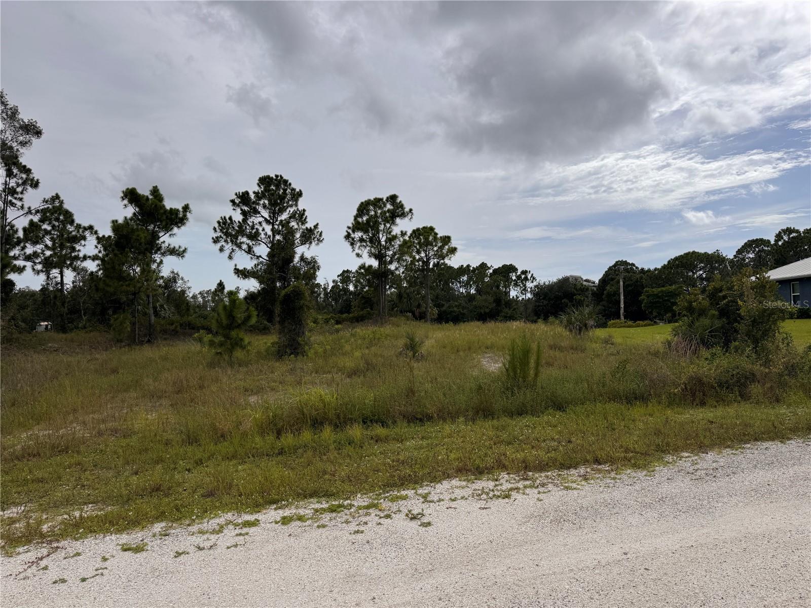 Land in PUNTA GORDA 4
