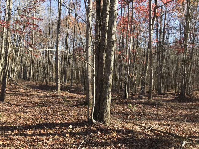 6 Hobbstown Rd, Home with 0 bedrooms, 0 bathrooms and null parking in Dunlap TN | Image 19