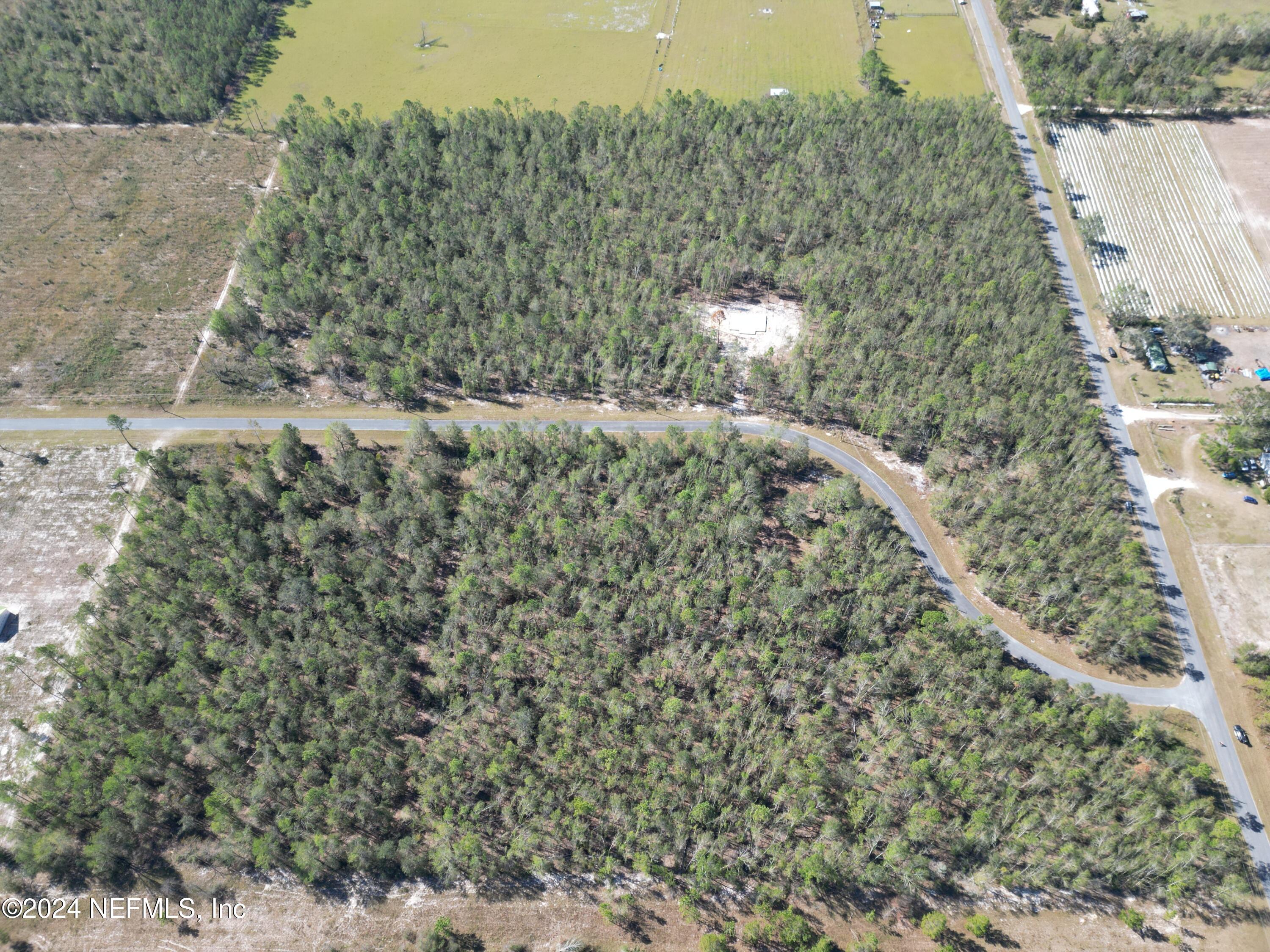 Land in Live Oak 3