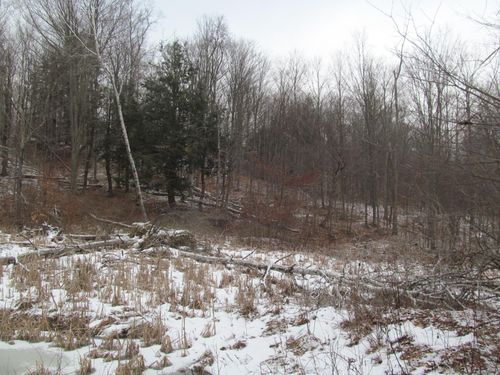 10 Acres N 23 Road, Antioch Township, MI, 49668 | Card Image