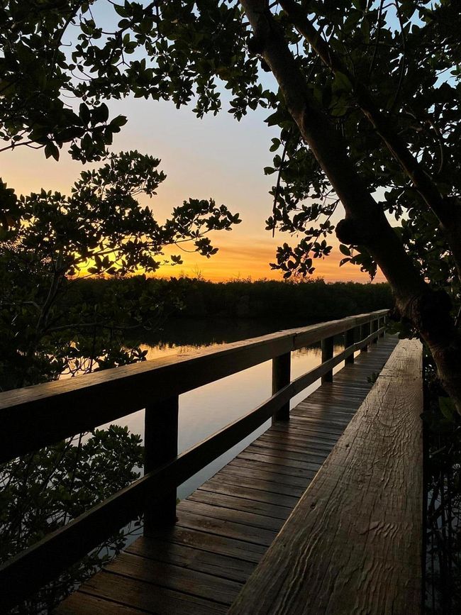 APT-504 - 5059 N Highway A1a, Condo with 2 bedrooms, 2 bathrooms and null parking in Hutchinson Island FL | Image 62