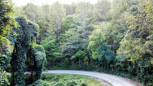 309 Smokey Joe Dr, Barbourville, KY, 40906 | Card Image