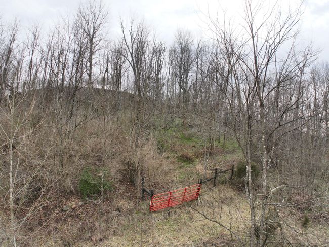 Here you can see the gate to the fenced area on the backside of property. | Image 53