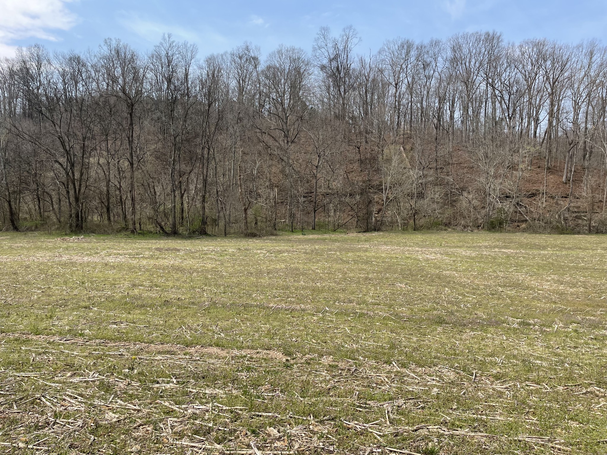 Land in Westmoreland