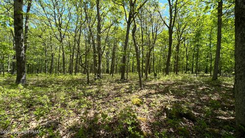 Lot 151 Bear Rd, Bushkill, PA, 18324 | Card Image