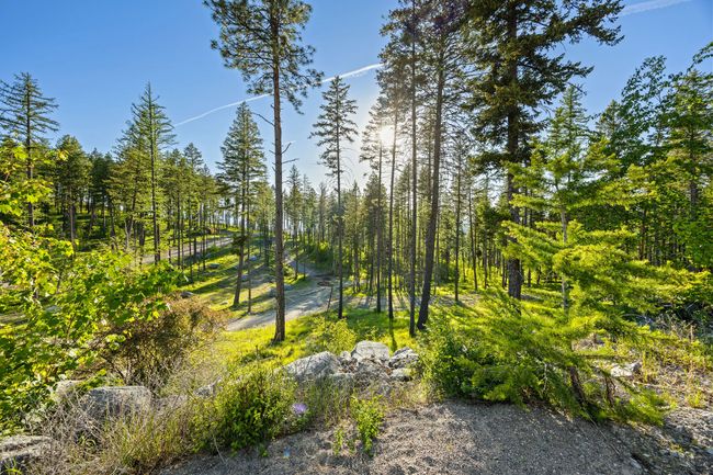 62 Trails End Ct, Home with 0 bedrooms, 0 bathrooms and null parking in Bigfork MT | Image 29
