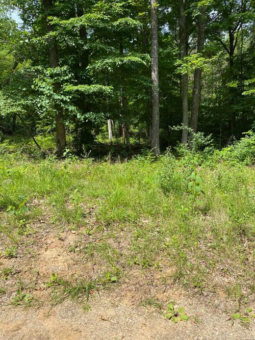 0 Maugham Dr, Burnside, KY, 42519 | Card Image