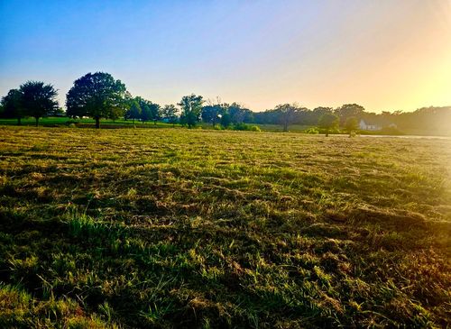 lot 2 County Road 3541, Saltillo, TX, 75478 | Card Image