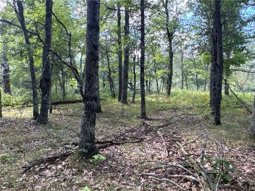 TBD French Rd, Danbury, WI, 54830 | Card Image