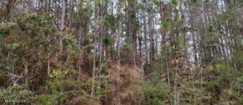 NHN Laura St, Lumberton, MS, 39455 | Card Image