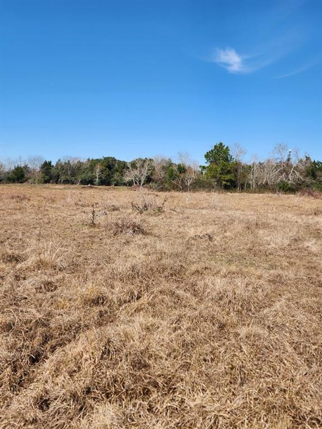 1083 County Road 147, House other with 3 bedrooms, 2 bathrooms and 2 parking in Alvin TX | Image 34