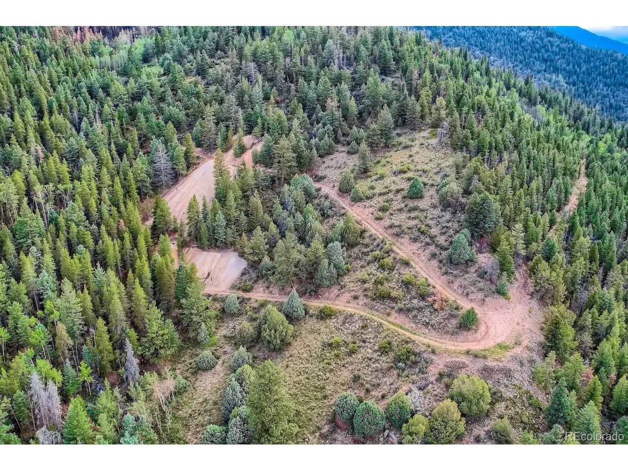 Land in Dumont 5