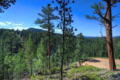 6855 Lynx Lair Road, Evergreen, CO, 80439 | Card Image