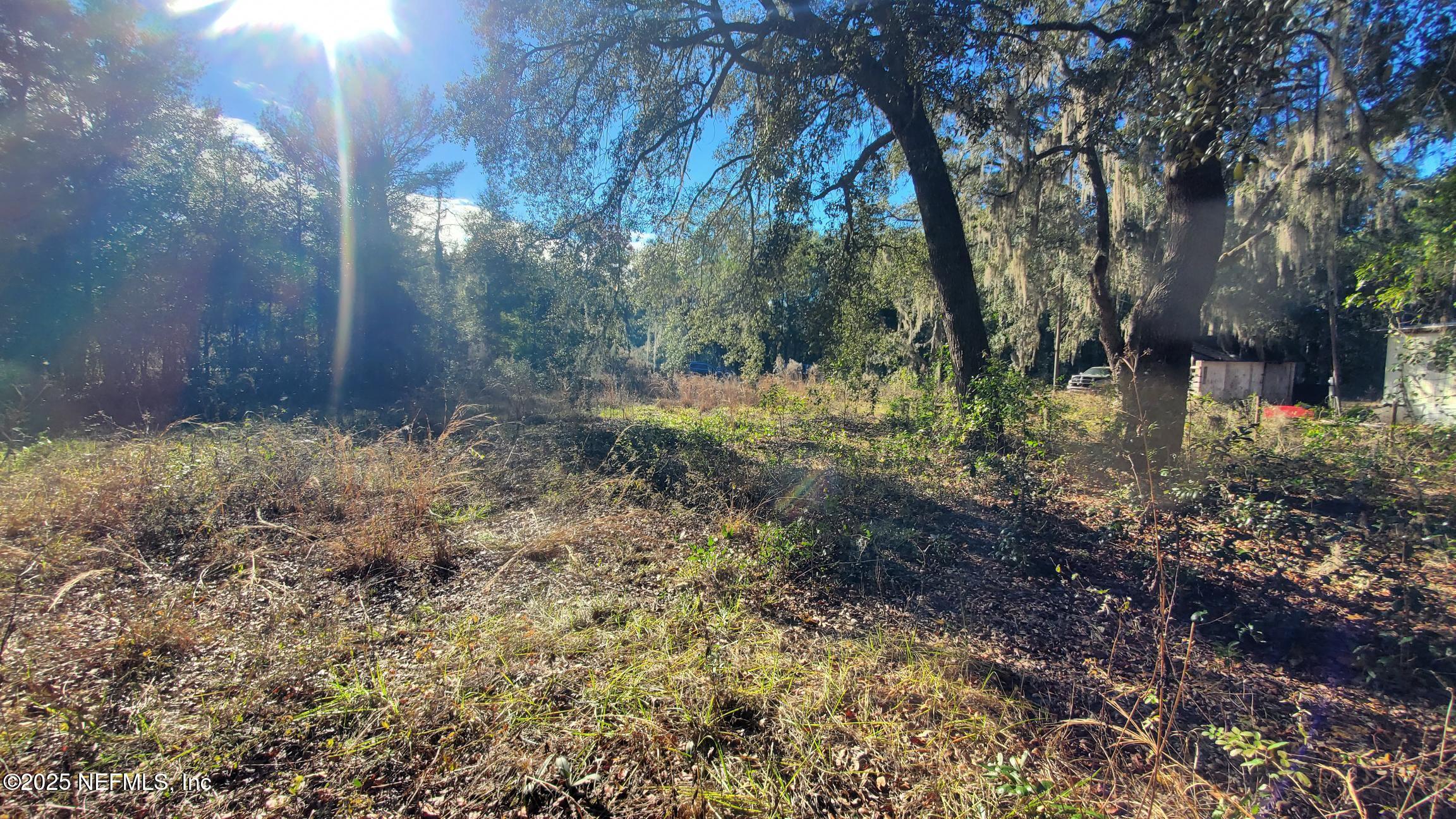 Land in Interlachen 4