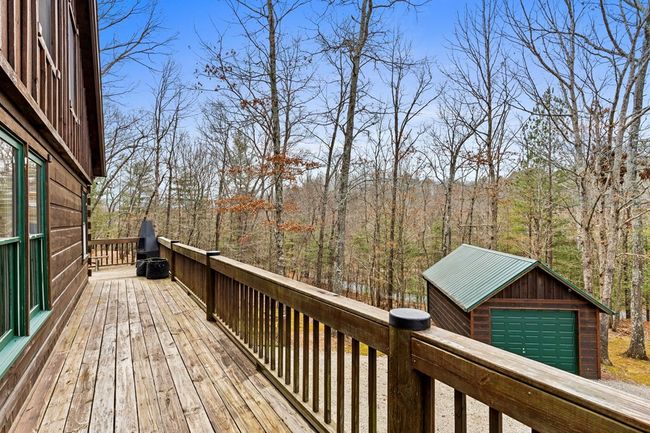 1994 Douthit Rd, Home with 3 bedrooms, 2 bathrooms and 3 parking in Mineral Bluff GA | Image 29