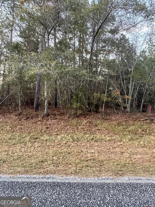 0 Canoochee Byp, Twin City, GA, 30471 | Card Image