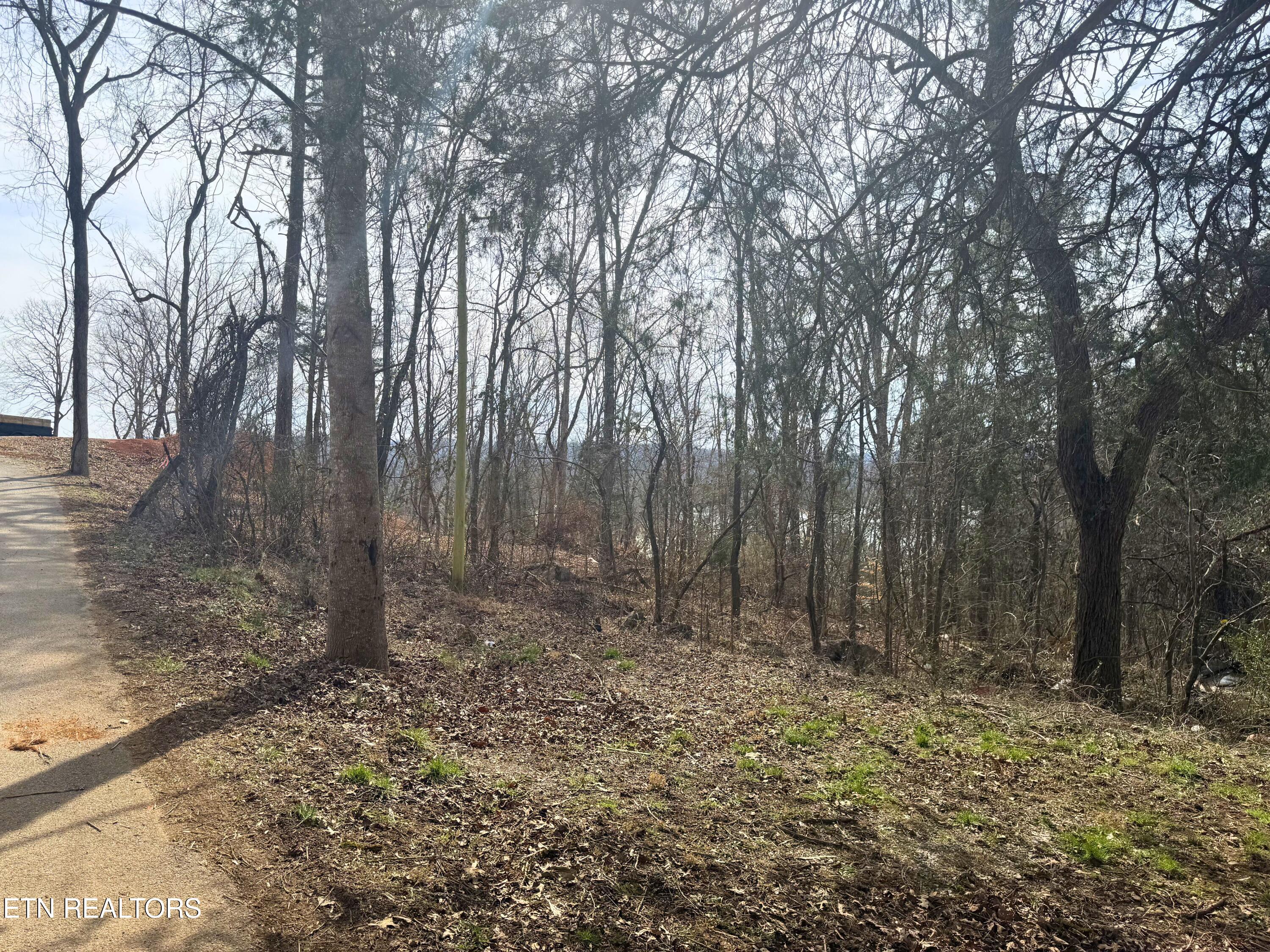 Land in Speedwell 3