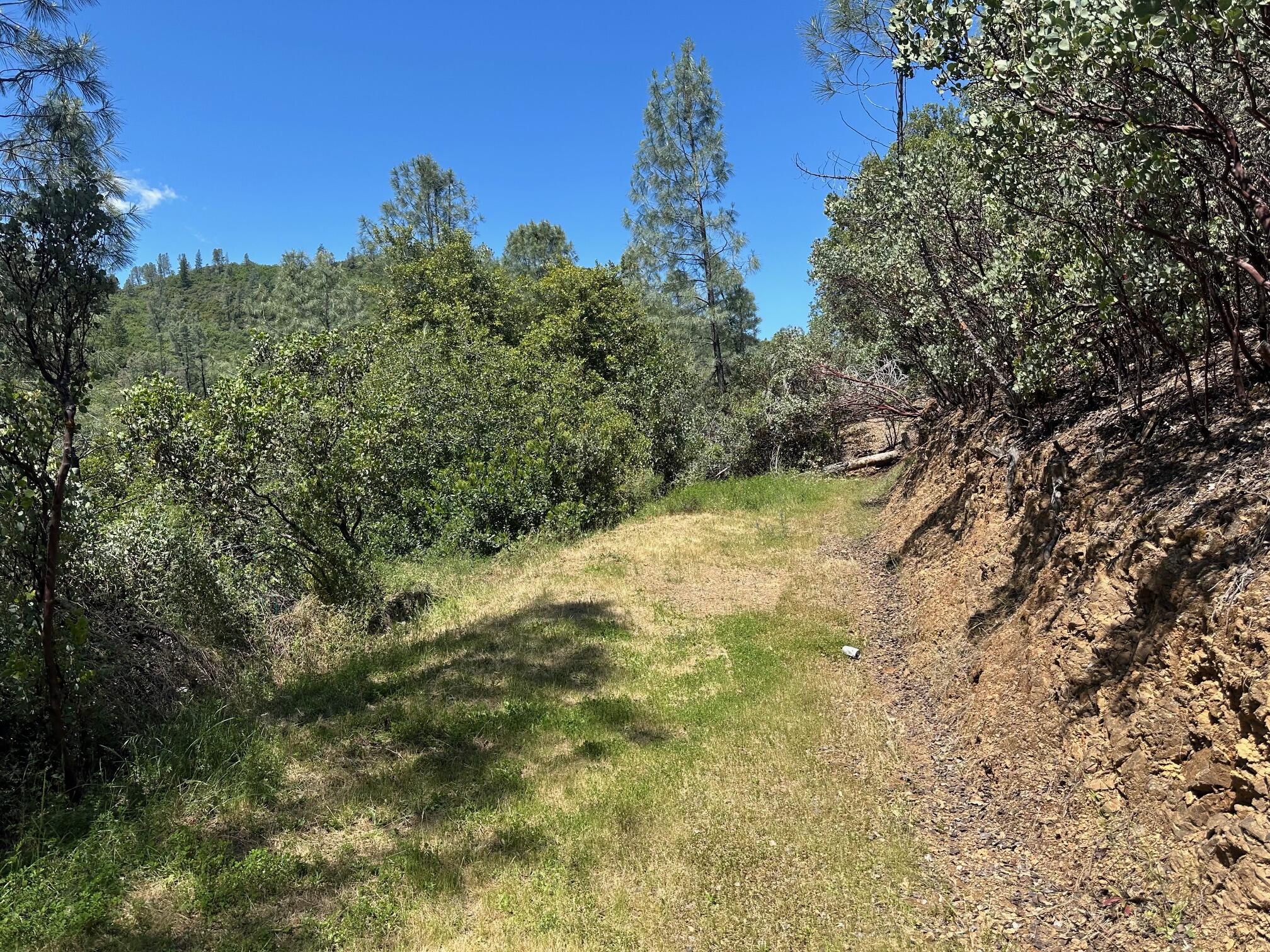 Land in Shasta Lake 3
