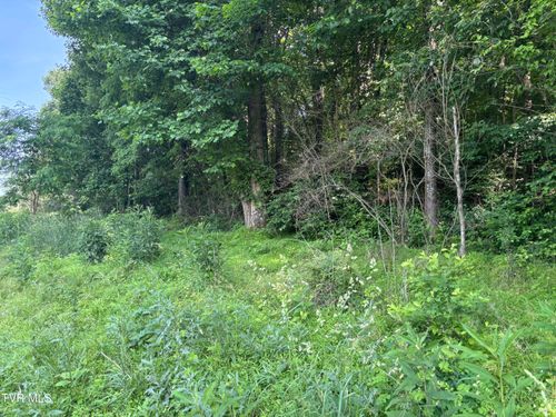 TBD Reedy Creek Rd, Abingdon, VA, 24210 | Card Image