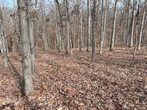 15 Deal Lane, Bella Vista, AR, 72714 | Card Image