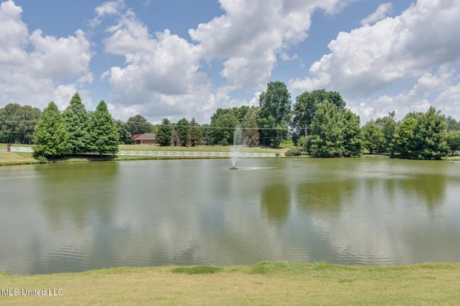 community lake | Image 40