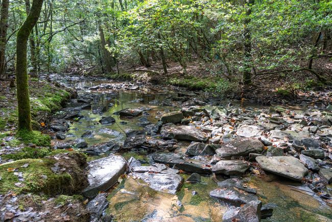 238 Mountain Laurel Ln, House other with 2 bedrooms, 1 bathrooms and null parking in Monteagle TN | Image 29